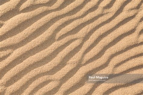 Stock Photo Sand Ripples Beach Or Dune Texture Paul Maguire