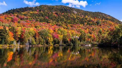 The Best Places To See Fall Foliage In Americas Dmv