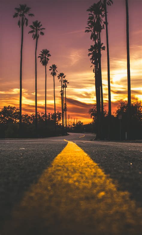 1280x2120 Road In City During Sunset Iphone 6 Hd 4k Wallpapers Images