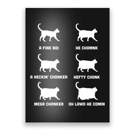 Funny Cats Meme Chonk Cat Chart Poster Teeshirtpalace