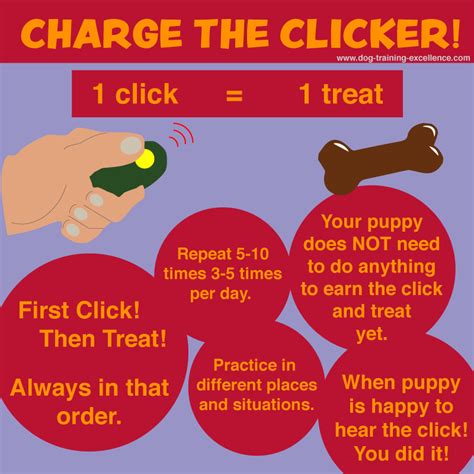 Puppy Clicker Training For Beginners