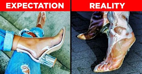 Photosynthetic species form the basis for life on earth in many ways. Different Types Of Heels - A Beginner's Guide