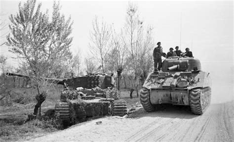 Tiger 332 Of The Schwere Panzer Abteilung 504 And Sherman Tank Italy