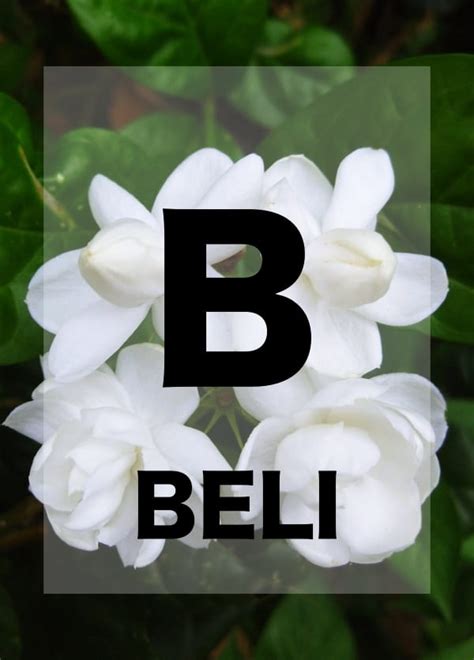 Learn the alphabet and phonics sounds with the alphabet occupations song! 26 Names of Flowers in Alphabetical Order to Teach your Kiddo