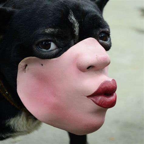Dont Buy These Amazon Dog Masks Unless You Want Nightmares For The