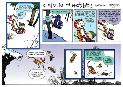 Pin By Jody Faucette On Calvin And Hobbes Calvin And Hobbes Calvin And