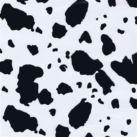Cow Print Wallpapers Top Những Hình Ảnh Đẹp