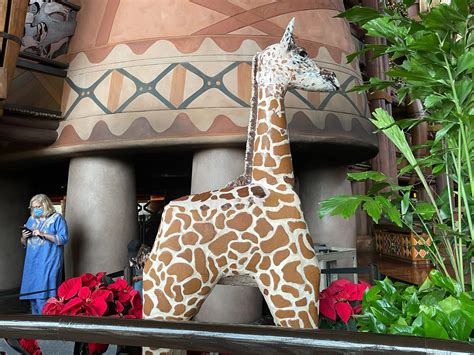 Photos See The Baby Giraffe Made Of Gingerbread At Disneys Animal