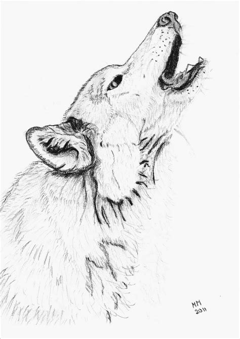 Coloriages à imprimer  Loup, numéro  262428