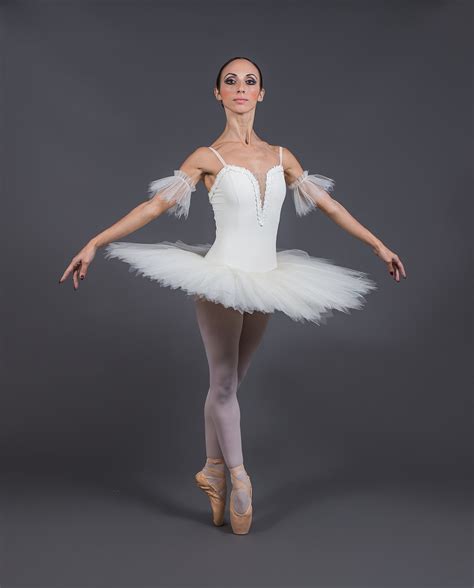 Tutu De Ballet Professionnel Ombre Etsy France