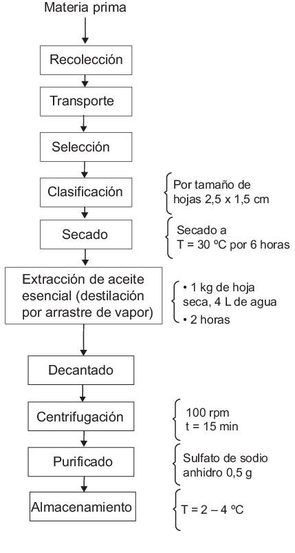 46 Diagrama De Flujo De Proceso De Produccion Industrial Png Midjenum