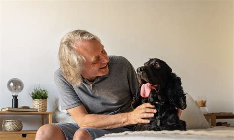 Why Petting A Dog Is Good For The Brain All About Pets