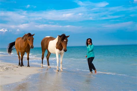 The Ultimate Guide To Camping On Assateague Island · Poor In A Private