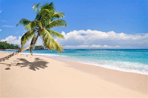 Nature Landscape Tropical Island Beach Palm Trees Sea Sand Clouds