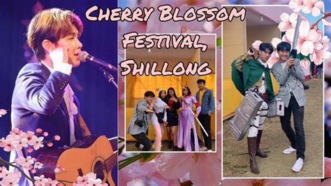 Cherry Blossom Festival Shillong 2019 🌸🌸 Cosplay And Kpop Vlog Youtube