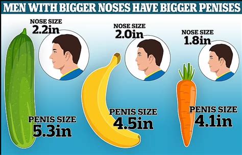 Men With Bigger Noses Have Bigger Penises Scientists Say After Measuring Male Reproductive