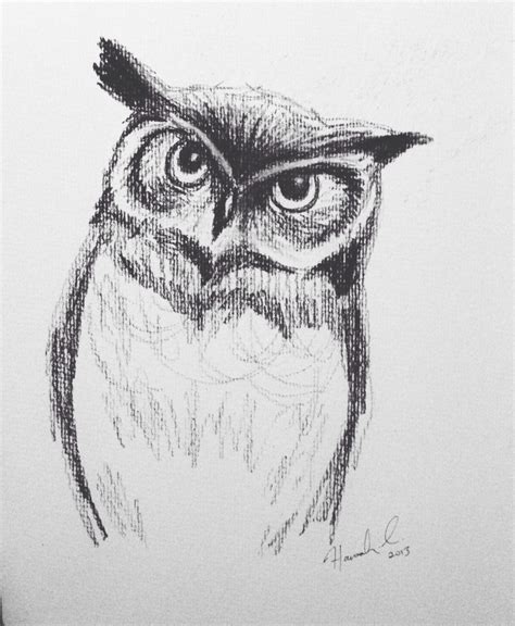 10 Staggering Charcoal Easy Things To Draw Ideas Owls Drawing