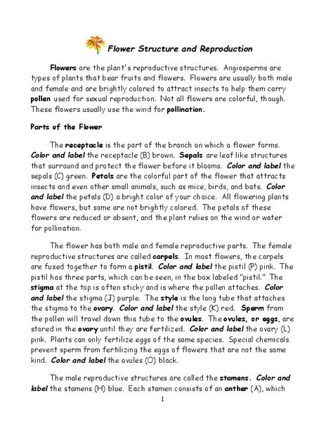 In this flower structure activity, students read the information on flower structure and reproduction. Flower Structure and Reproduction Worksheet for 6th - 9th ...