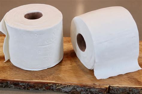 How To Make A Vegan Toilet Paper Cake The Global Shuffle