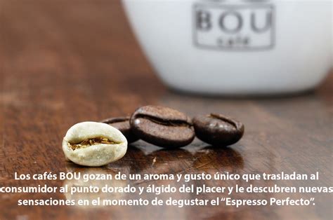 Los Cafés Bou Gozan De Un Aroma Y Gusto único Que Trasladan Al