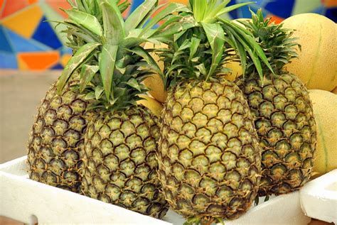 Healthy Fruits Prutas Na Mabilis Na Pampagaling Ng Sugat