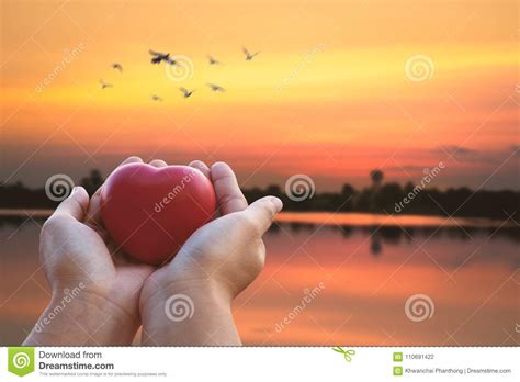 Giving Love And Valentine Concept Hand Holding Red Heart On Sun Stock