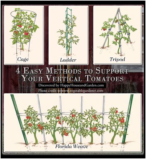 4 Easy Methods To Support Your Vertical Tomatoes Garden Solutions