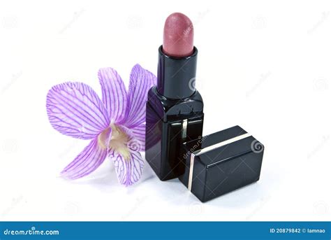 Lipstick With Orchid Stock Photo Image Of Cosmetic Tube 20879842