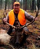 Hunting Outfitters In Colorado