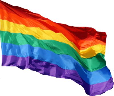 Images and media related to the lgbt (lesbian, gay, bisexual, transgender) pride flag and variations. Download RAINBOW FLAG Free PNG transparent image and clipart