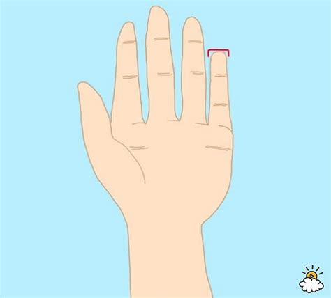 Interesting Facts About Your Pinky Finger Tells Amazing My Wordpress Website