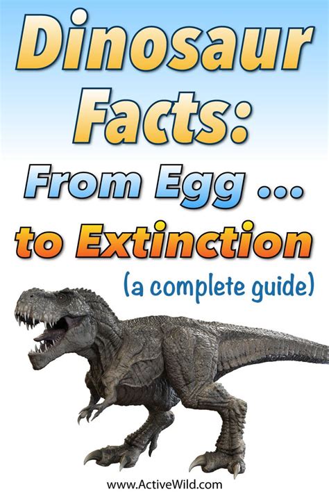 Dinosaur Facts For Kids And Students Info And Pictures From Egg To