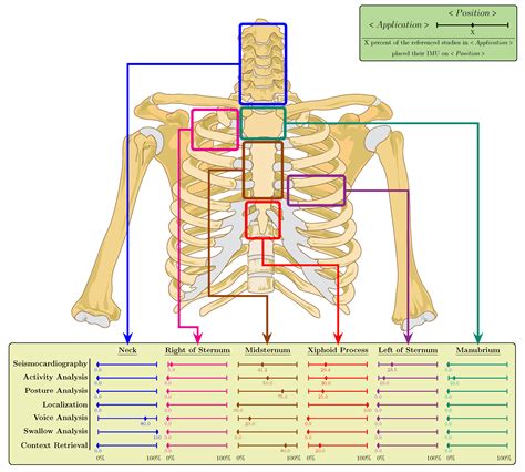 Diagram Of Chest Area Anatomy Of The Breast Memorial Sloan Kettering
