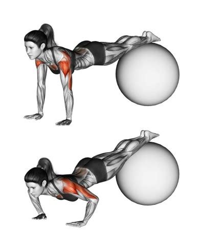 A properly performed pushup requires strength and stability of the core muscles including the abdominals and lower back, which. Decline Pushups ~ Best Pushup Workouts - Pushup Freaks
