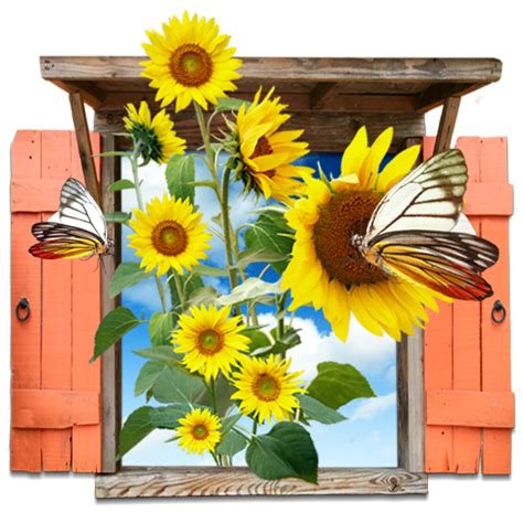 Flowers Sunflowers Window Icon My Seven Iconset Itzik Gur