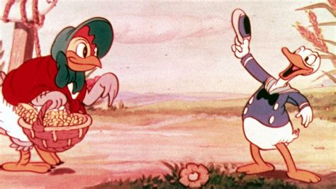 Celebrate Donald Ducks Birthday With These 9 Must Watch Films And Shorts