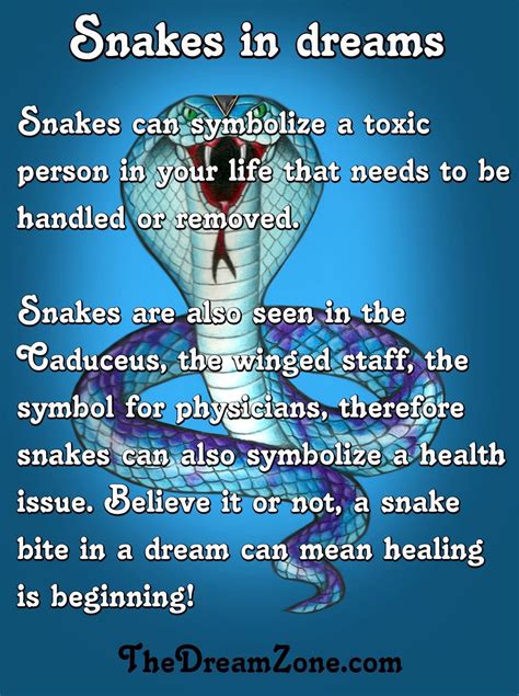 Snakes In Your Dreams Dream Psychology Psychology Facts Lucid