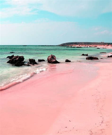 12 Beautiful Pink Sand Beaches Around The World Pink Sand Beach