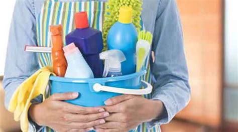 Servicio Domestico Funciones Empleada Domestica Atès A Casa