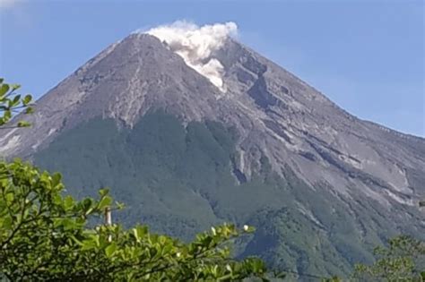 Hanik menuturkan, tahap erupsi magmatik yang dimasuki merapi tidak berarti letusan besar akan terjadi dalam waktu dekat. Awan Panas Erupsi Gunung Merapi Mengarah ke Hulu Kali Gendol : Okezone News