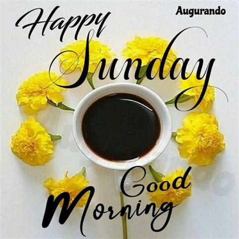 Best Good Morning Sunday Images Always Updated Images Good Morning Sunday Images Good