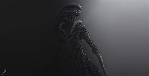 Alien Xenomorph Wallpaper