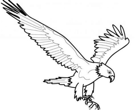 We did not find results for: +1001 Keistimewaan Sketsa Gambar Burung Terlengkap Dan ...