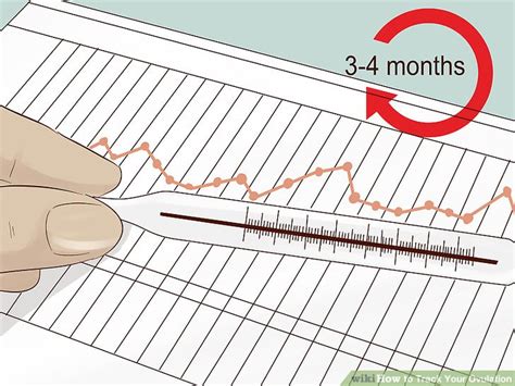 3 Ways To Track Your Ovulation WikiHow