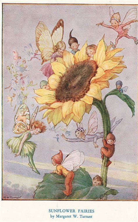 Sunflower Fairies Fairies Pinterest Fairy Sunflowers And Plays
