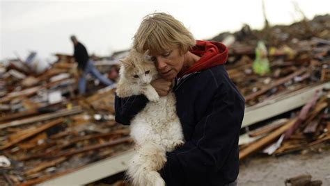 5 Steps For Keeping Your Cat Safe During A Tornado Cattime