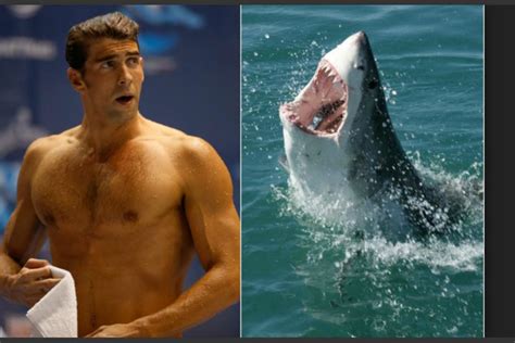Michael Phelps compitió contra un tiburón y el ganador fue...