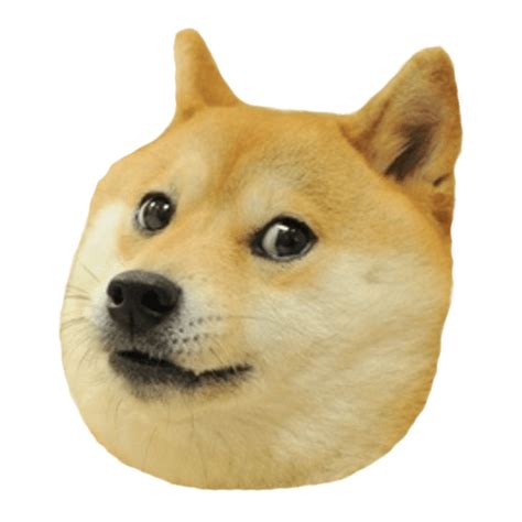 Doge Full Smiling Pnglib Free Png Library