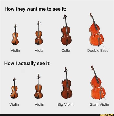 How They Want Me To See It Violin Viola Cello Double Bass How Actually