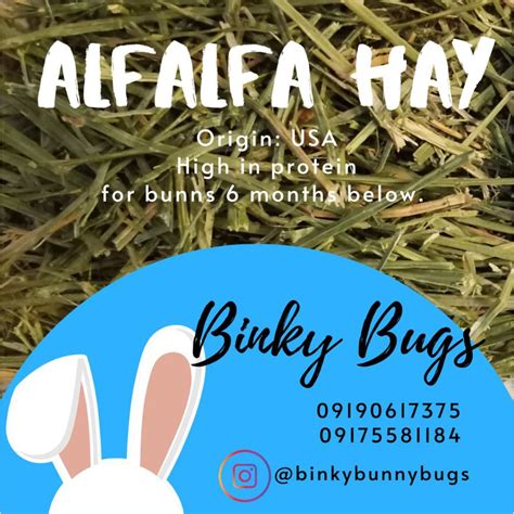 Alfalfa Hay 500g Not Chaff Shopee Philippines